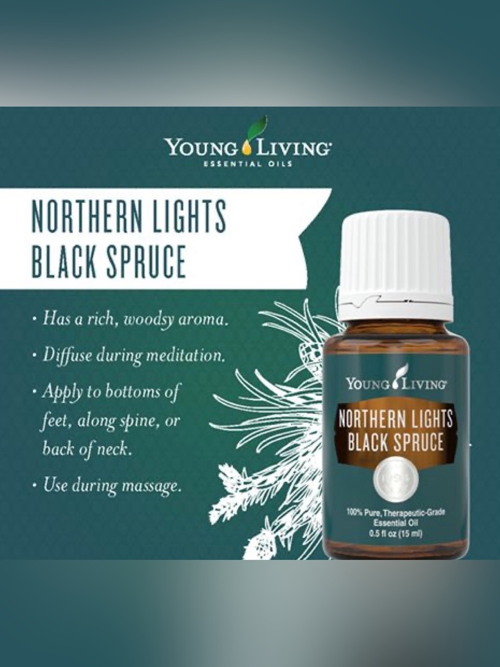 Young Living Northern Lights Black Spruce Essential Oil 5 ml Bottle Brand New - Picture 11 of 11